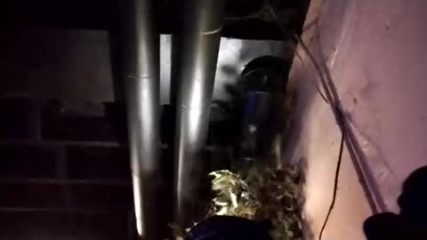 gleeguy online show from November 10, 8:50 am