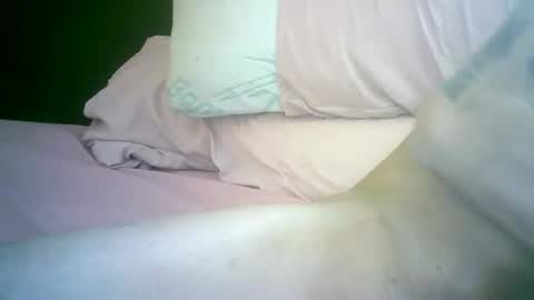 tender bot online show from November 1, 7:13 pm