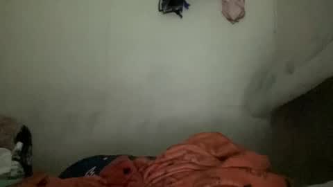 Lyn online show from February 22, 5:00 am