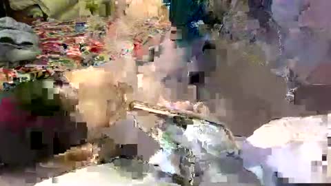 Lisa online show from January 7, 3:35 am