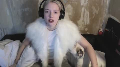 Snapshot of graylovescookies chatting on December 19, 10:45 am graylovescookies online show from December 19, 10:45 am