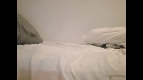 greekprince77 online show from March 2, 12:56 pm