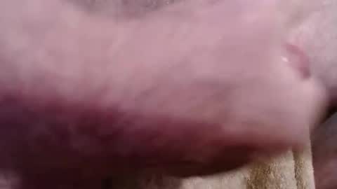 Greg online show from February 15, 6:06 pm