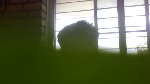 Grey Stud online show from February 4, 6:36 am