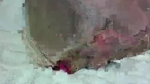 Snapshot of growerboy25 chatting on September 18, 2:37 am growerboy25 online show from September 18, 2:37 am