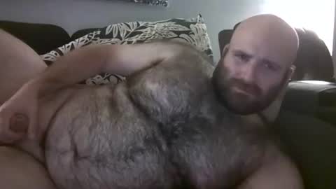 Hairiest Bear online show from October 6, 5:25 am