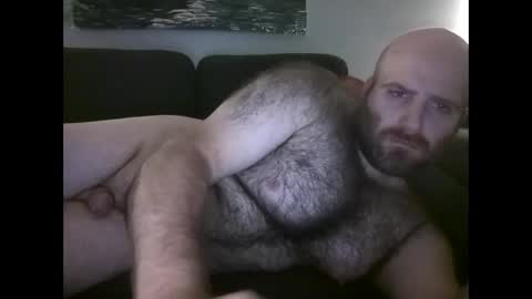 Hairiest Bear online show from November 2, 6:57 am