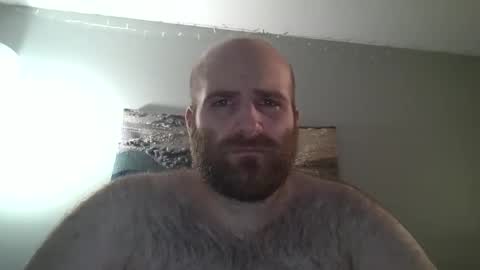 Hairiest Bear online show from December 28, 7:43 pm