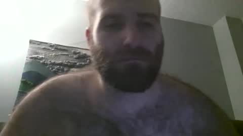 Hairiest Bear online show from January 19, 7:36 am