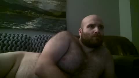 Hairiest Bear online show from January 11, 9:47 am