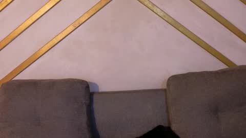 ANA online show from October 27, 11:43 am