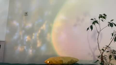 hannah levis  online show from April 5, 2:25 pm