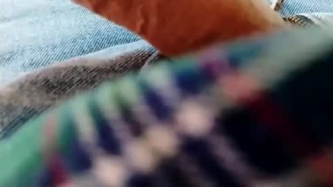 hardandhorny422 online show from January 17, 3:10 pm