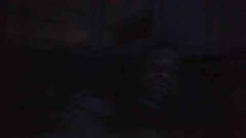 harleycpdcloud online show from September 18, 9:57 am