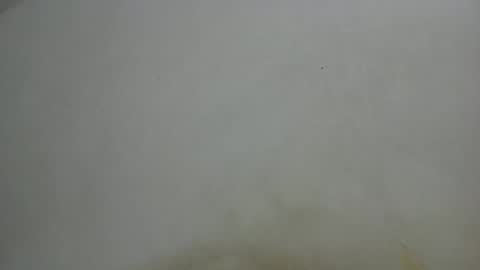 ricardo online show from April 21, 5:42 pm