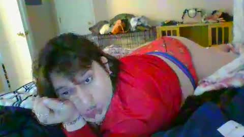 Harper Steele online show from February 28, 10:41 am