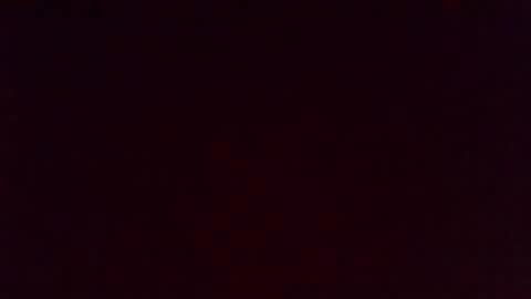 hdbob13 online show from February 15, 11:20 am