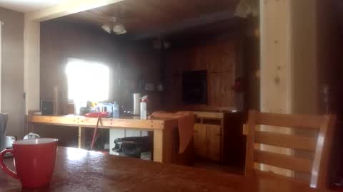 Jason online show from February 4, 2:21 pm