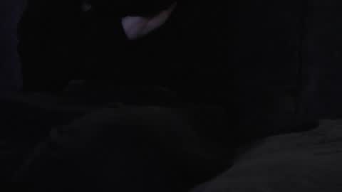 hikinxxx online show from January 17, 4:44 am