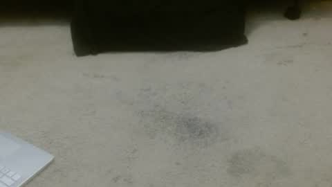 Holly Hawkes online show from November 14, 12:46 am