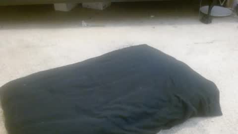 Holly Hawkes online show from November 22, 1:04 am