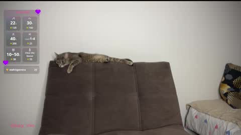 Vio online show from March 1, 8:21 pm