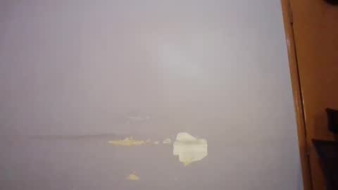 phanice online show from March 13, 5:44 am