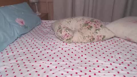 Nikki online show from February 27, 11:03 am