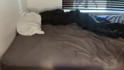 horsepenetration online show from February 26, 8:28 am