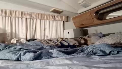 HotAmyMike online show from November 11, 2:41 pm