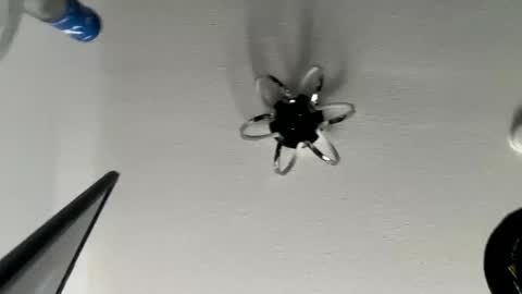 hughfat online show from January 4, 6:19 pm