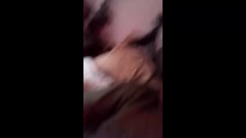 hungholden online show from February 23, 1:46 pm