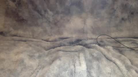 Hunkhog online show from November 22, 3:54 pm