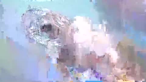 cant get you out of my head online show from February 15, 2:22 pm