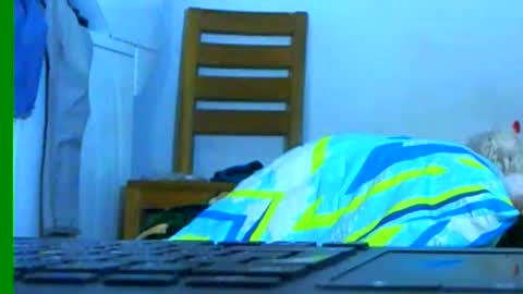 Snapshot of ian_zaenzz chatting on January 26, 3:27 am Samuel igsamuelnoguera 1333 online show from January 26, 3:27 am