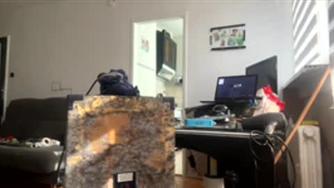 ibigboy666 online show from May 5, 7:47 am