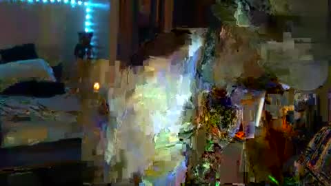 Snapshot of ibpms247 chatting on September 29, 11:20 am PMS online show from September 29, 11:20 am