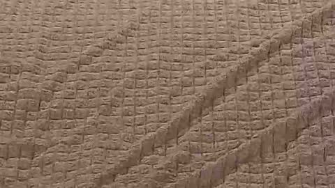 Danielle online show from November 27, 2:47 pm