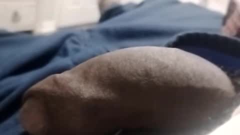 ihktqjtwzczh online show from April 4, 4:19 am