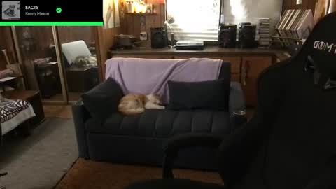 Carter online show from April 14, 6:49 am