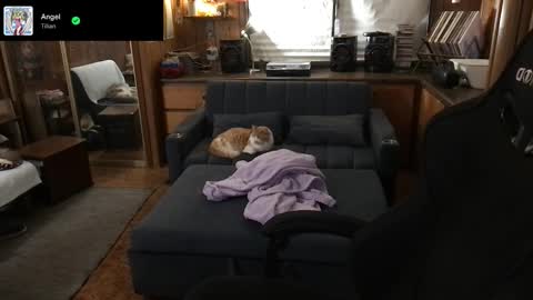 Carter online show from March 11, 5:32 am