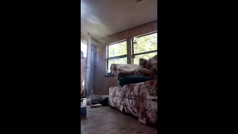 indegeniouscreature online show from June 9, 12:49 pm