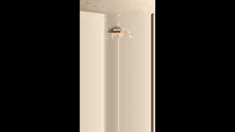 indegeniouscreature online show from December 17, 10:00 am