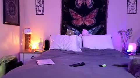 Indigo Bay online show from April 26, 11:46 pm