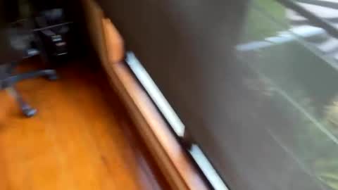 itsdylb online show from January 24, 8:00 pm