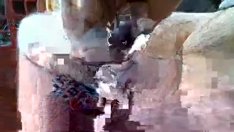 itsxxxtc online show from December 17, 8:32 pm