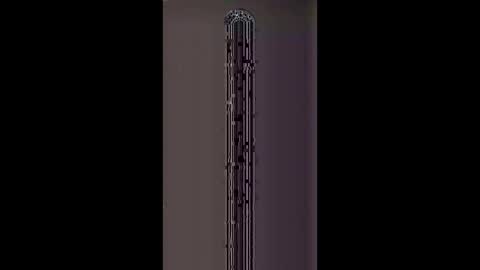 wonderbread online show from March 16, 2:26 am