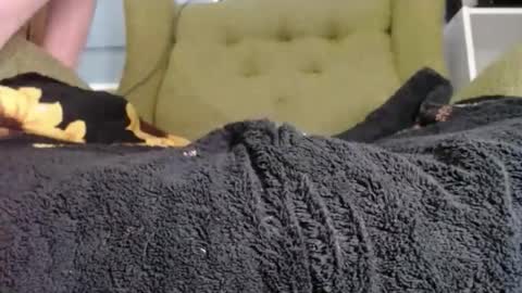 JJ online show from February 3, 2:53 am