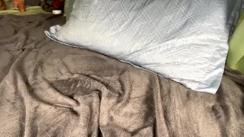 jacksbunnys online show from January 14, 11:10 am