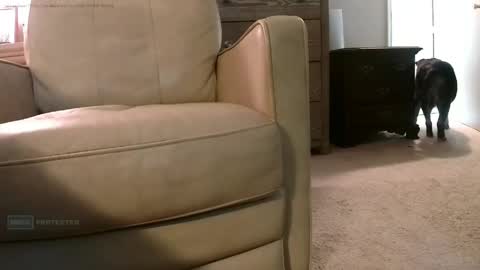 Jackson Brown online show from April 12, 12:20 pm